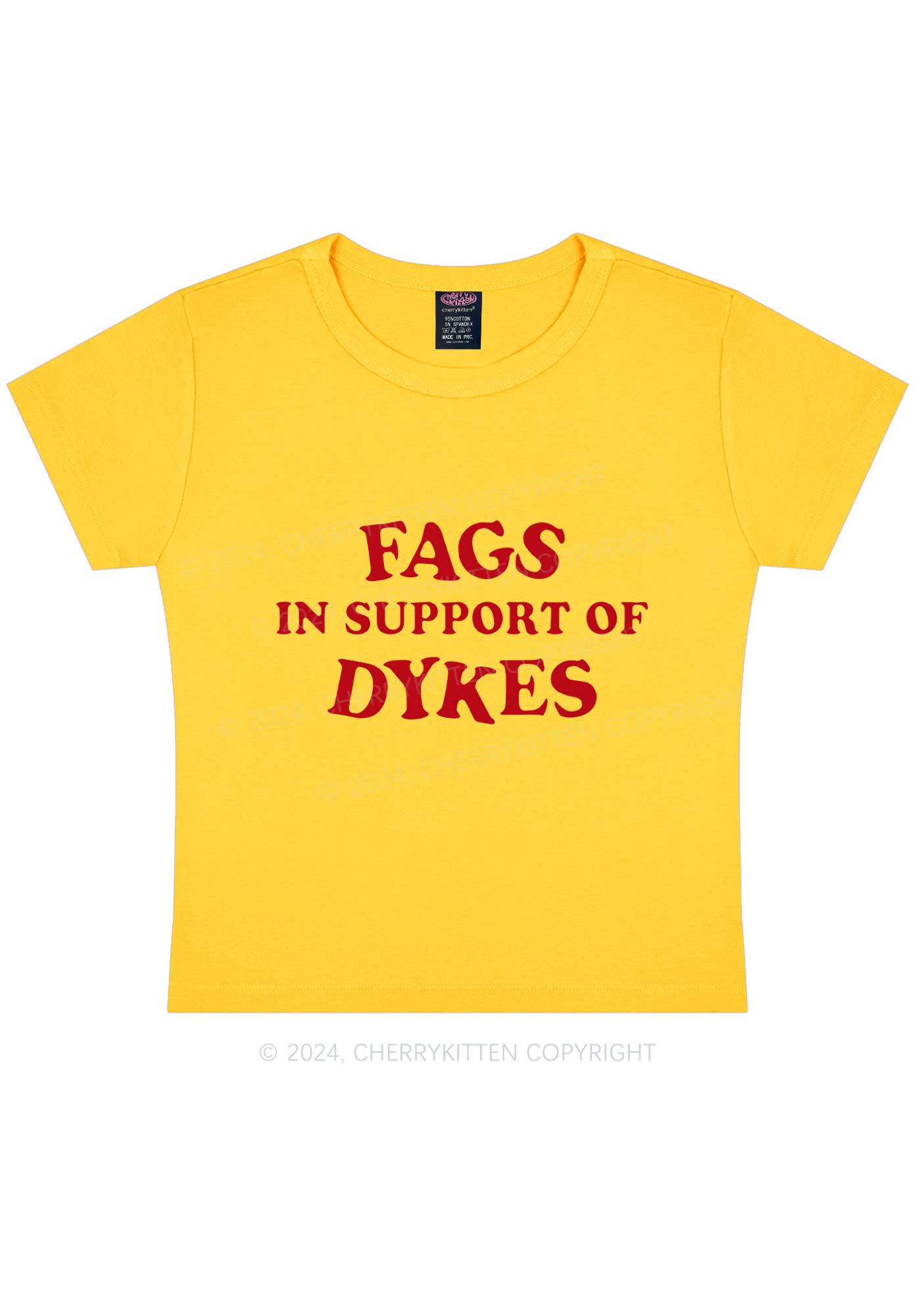 Fags Dykes Y2K Baby Tee Cherrykitten