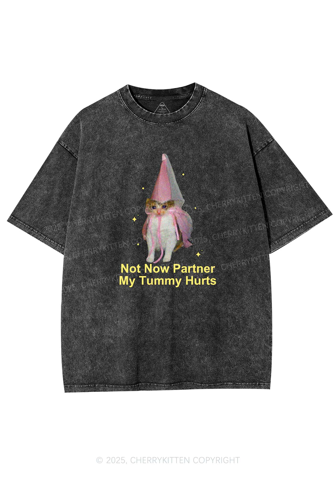 Tummy Hurts Cat Y2K Washed Tee Cherrykitten