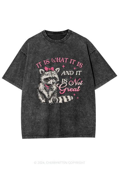 Not Great Raccoon Y2K Washed Tee Cherrykitten