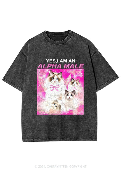 Alpha Male Y2K Washed Tee Cherrykitten