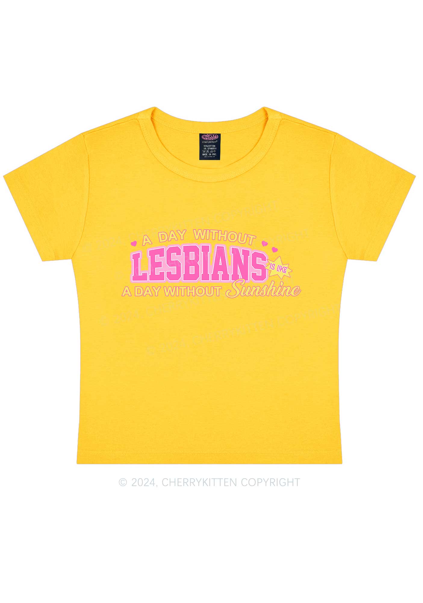 A Day Without Lesbians Y2K Baby Tee Cherrykitten