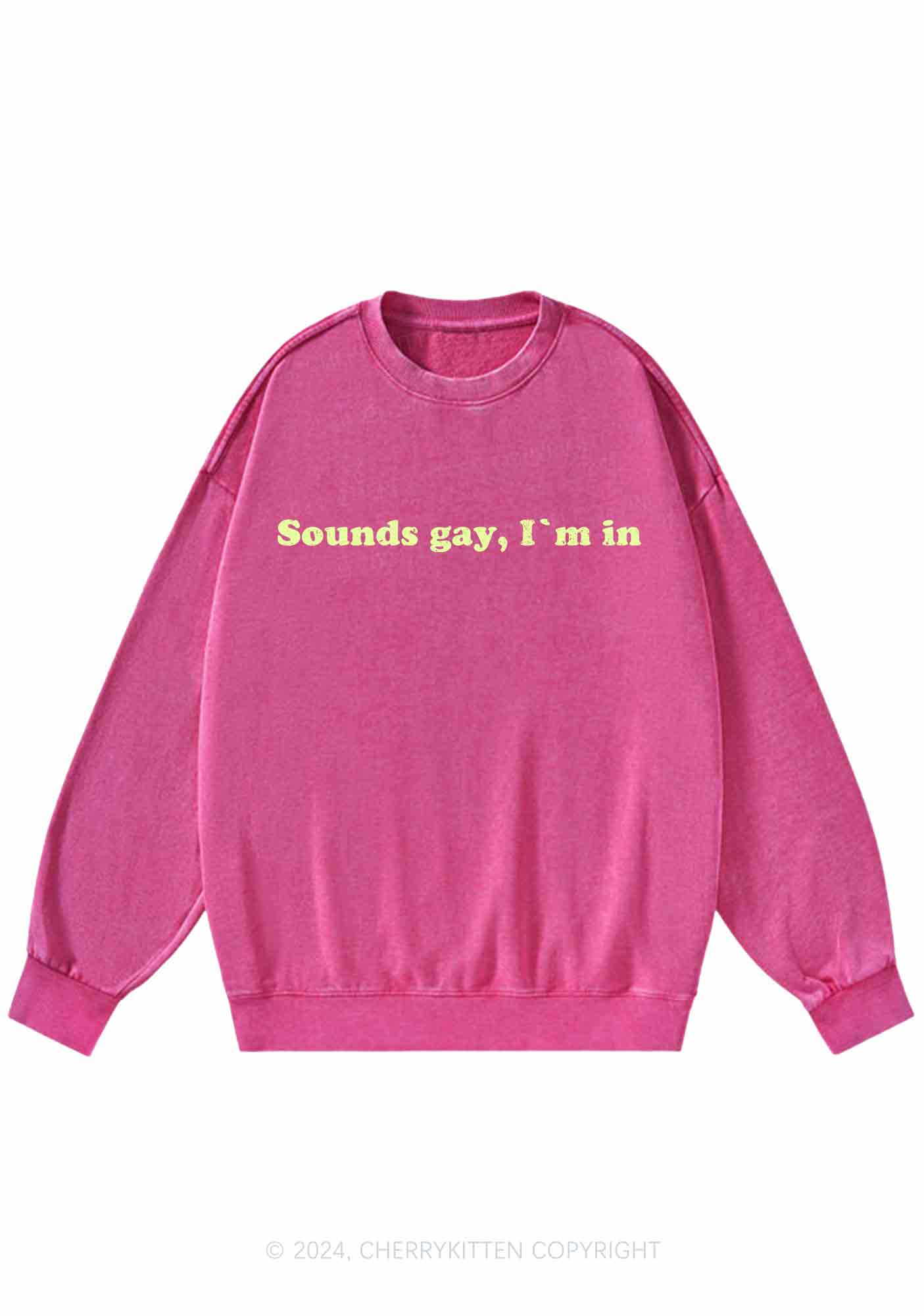 Sounds Gay Y2K Washed Sweatshirts Cherrykitten