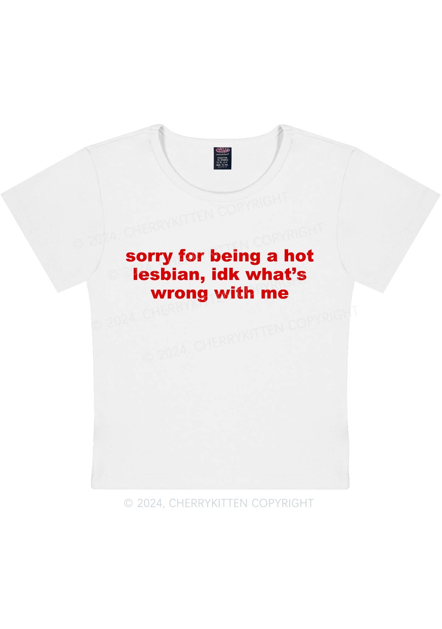 Sorry For Being Hot Lesbian Y2K Baby Tee Cherrykitten