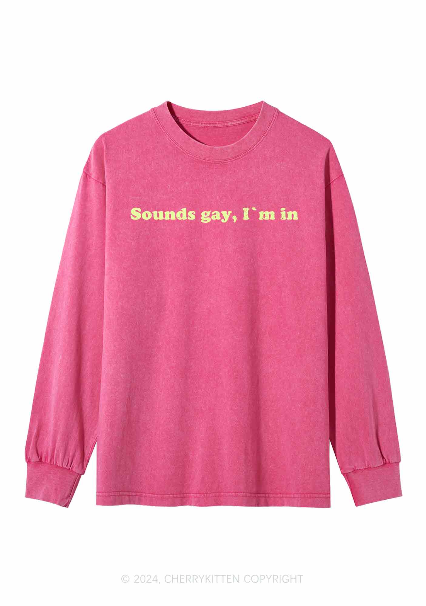 Sounds Gay Y2K Washed Long Sleeves Cherrykitten