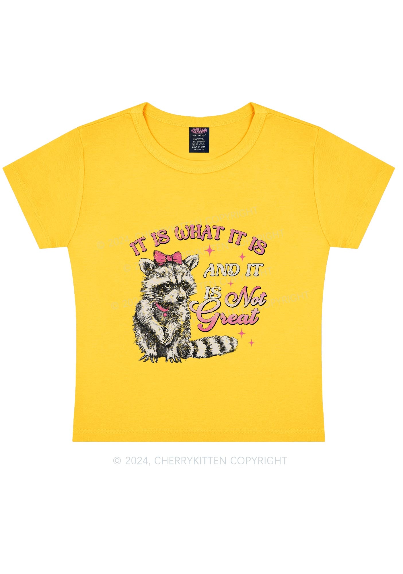 Not Great Raccoon Y2K Baby Tee Cherrykitten