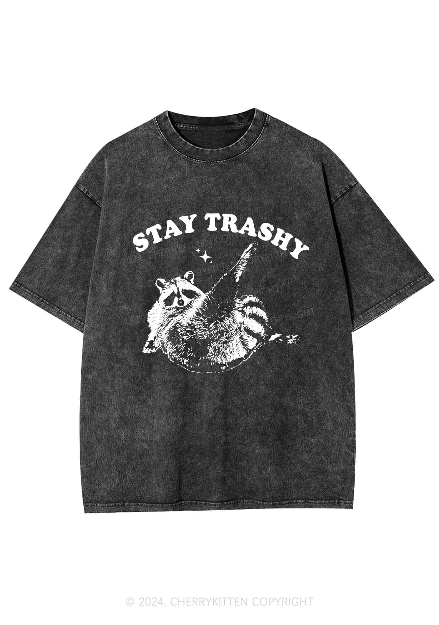 Raccoon Stay Trashy Y2K Washed Tee Cherrykitten