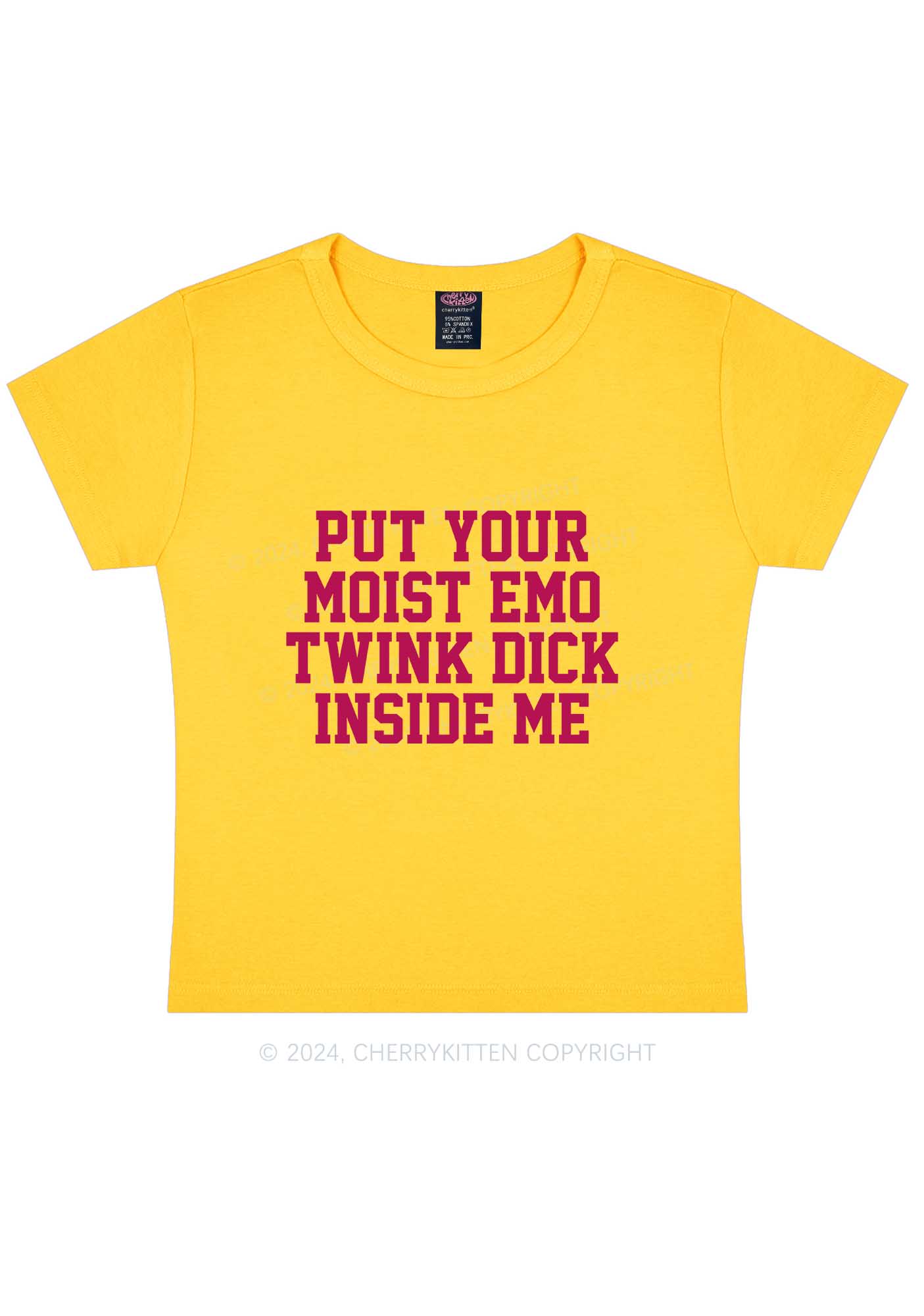 Put It Inside Me Y2K Baby Tee Cherrykitten