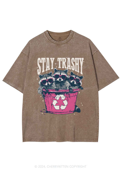 Three Raccoons Stay Trashy Y2K Washed Tee Cherrykitten