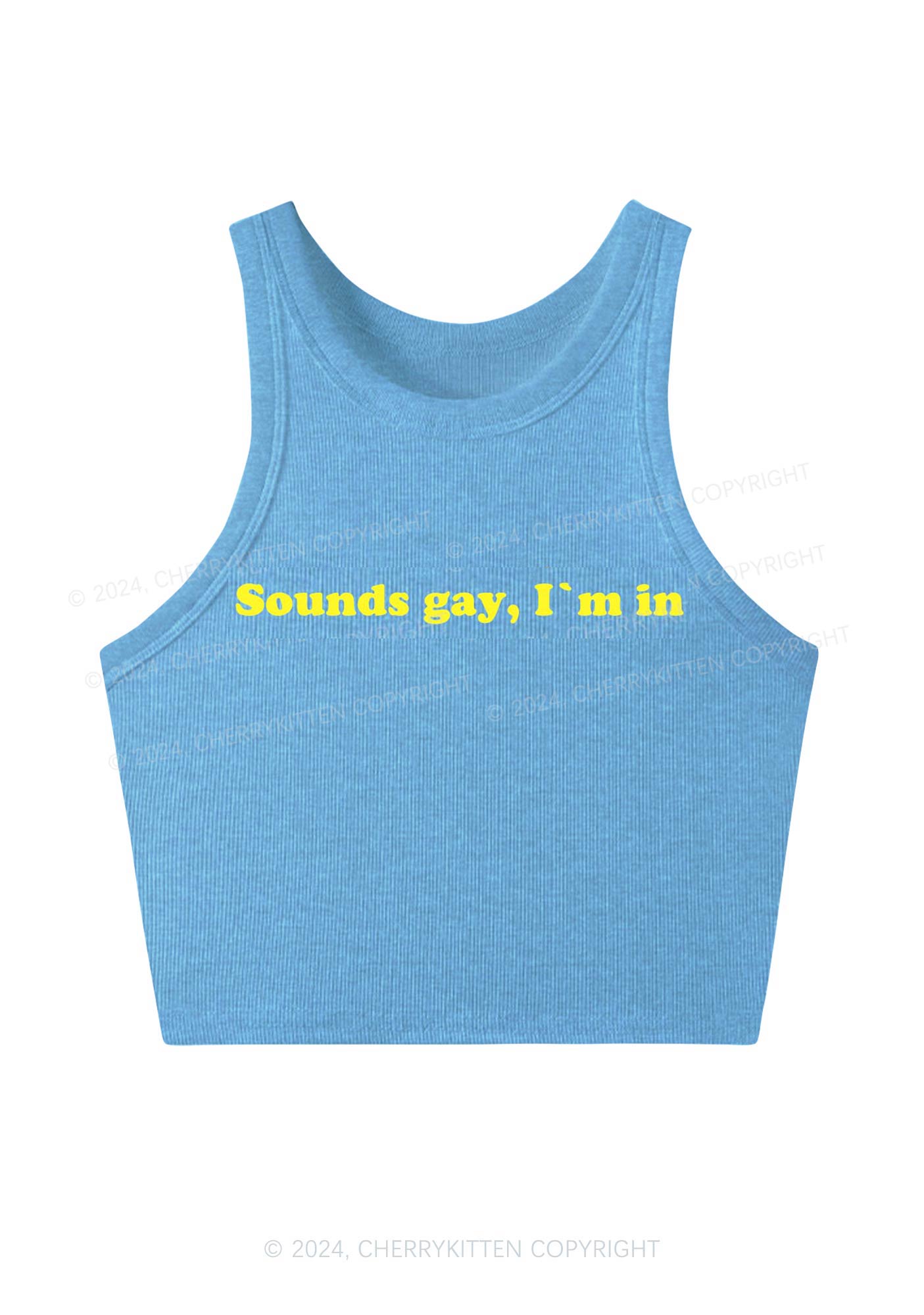 Sounds Gay Y2K Crop Tank Top Cherrykitten