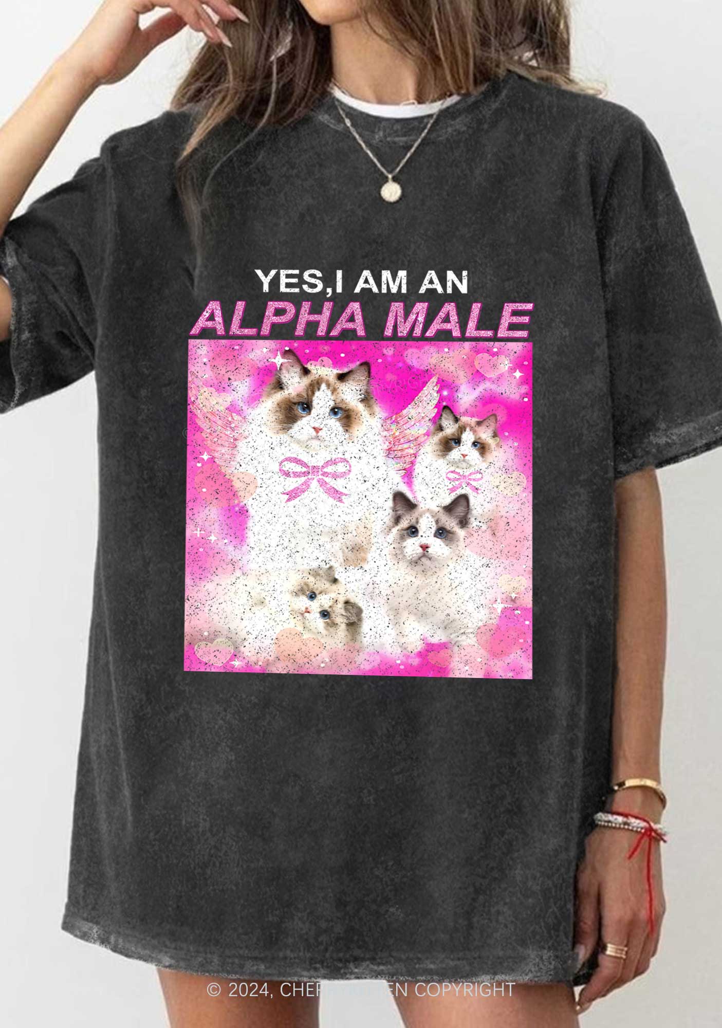 Alpha Male Y2K Washed Tee Cherrykitten