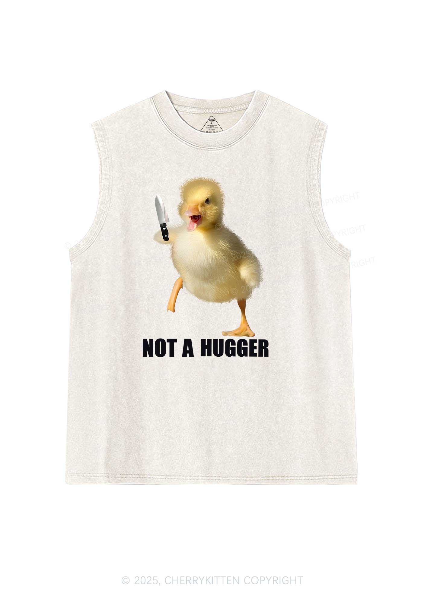 Not A Hugger Y2K Washed Tank Cherrykitten