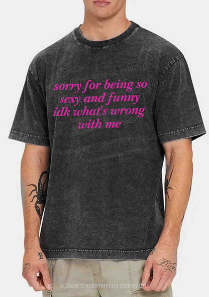 Sorry For Being So Funny Y2K Washed Tee Cherrykitten