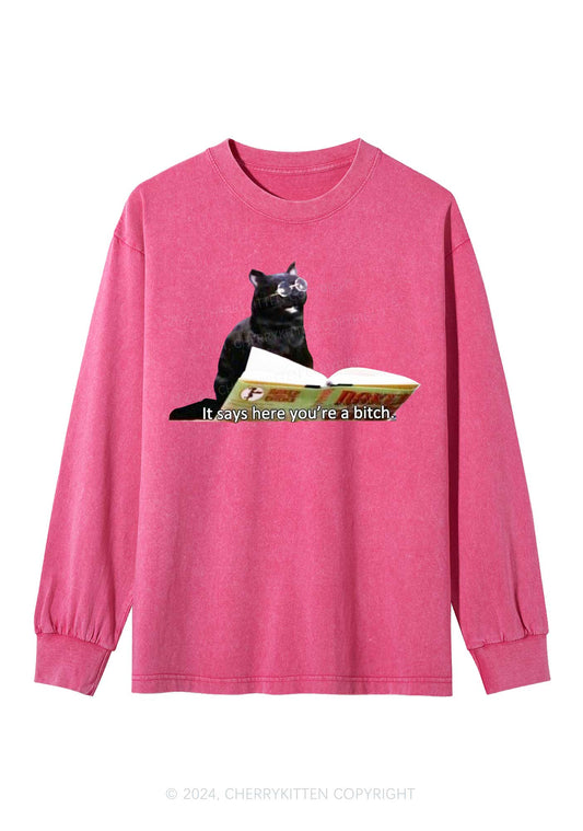 It Says Here You're A Bixxh Y2K Washed Long Sleeves Cherrykitten