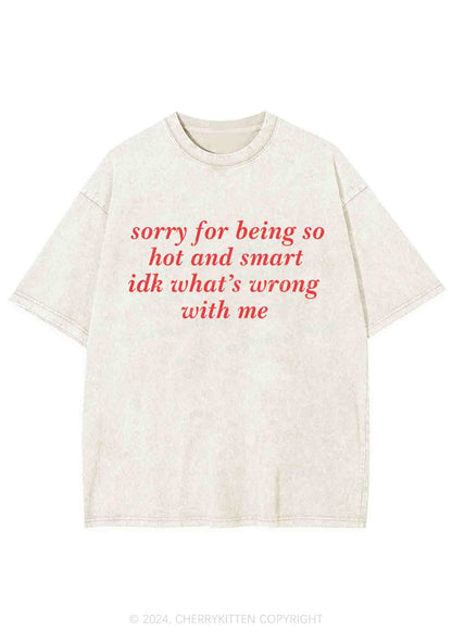 Sorry For Being So Smart Y2K Washed Tee Cherrykitten
