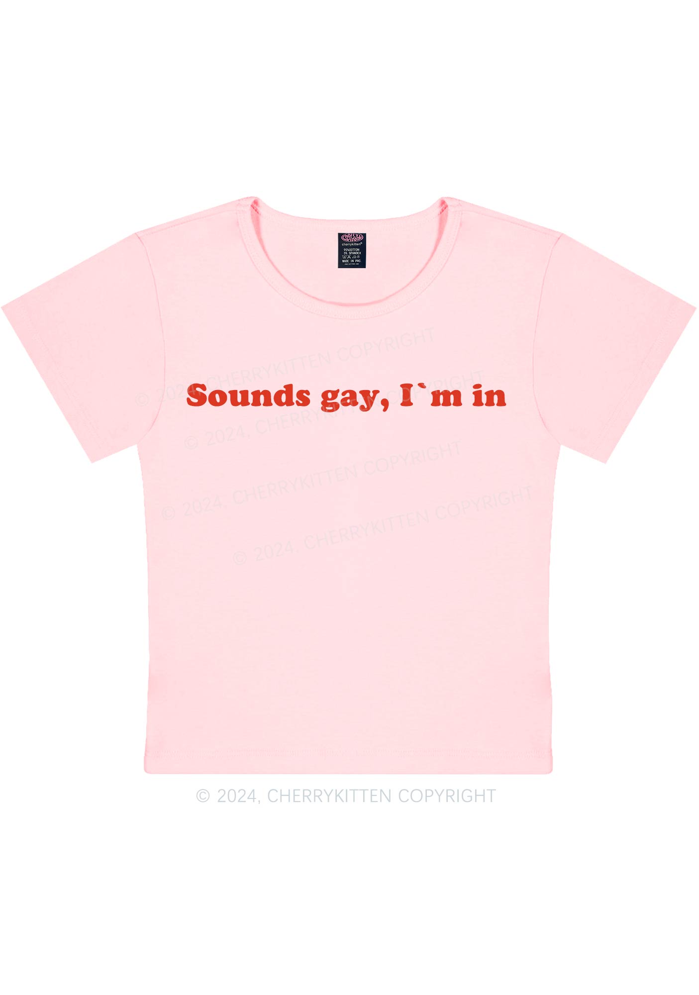 Sounds Gay Y2K Baby Tee Cherrykitten