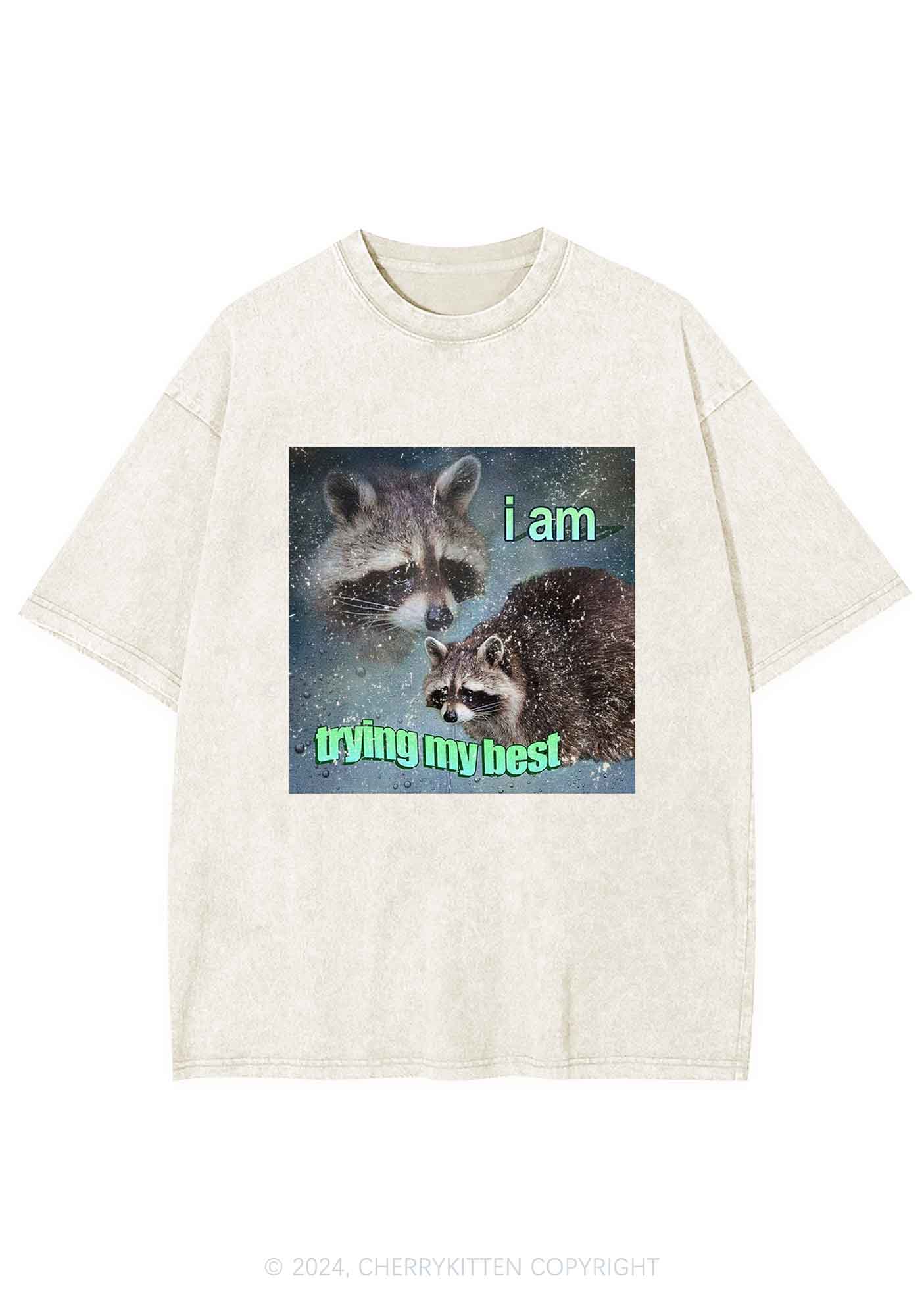 I Am Trying My Best Raccoon Y2K Washed Tee Cherrykitten