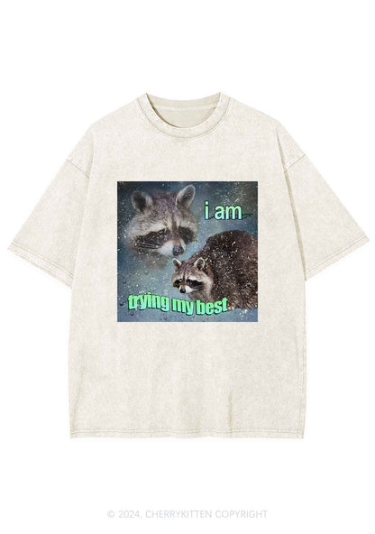 I Am Trying My Best Raccoon Y2K Washed Tee Cherrykitten