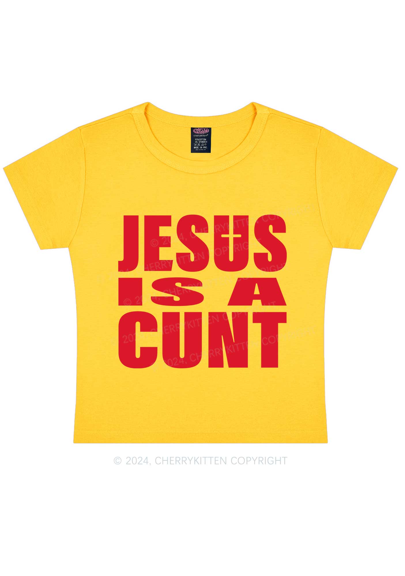 Jesus Is A Cxxt Y2K Baby Tee Cherrykitten