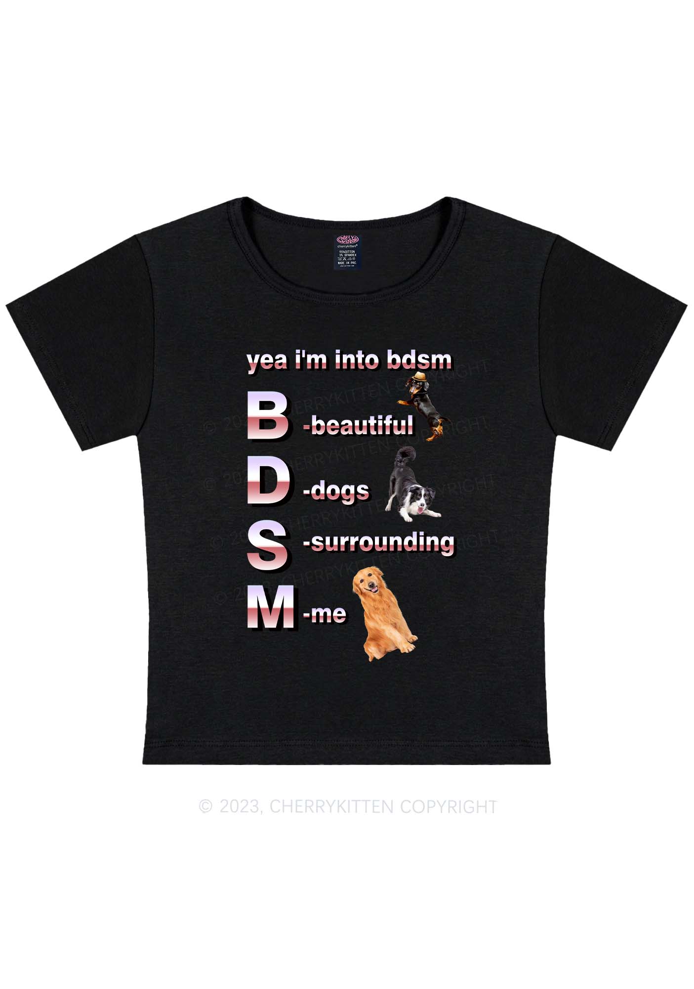 Yea I'm Into BDSM Y2K Baby Tee Cherrykitten