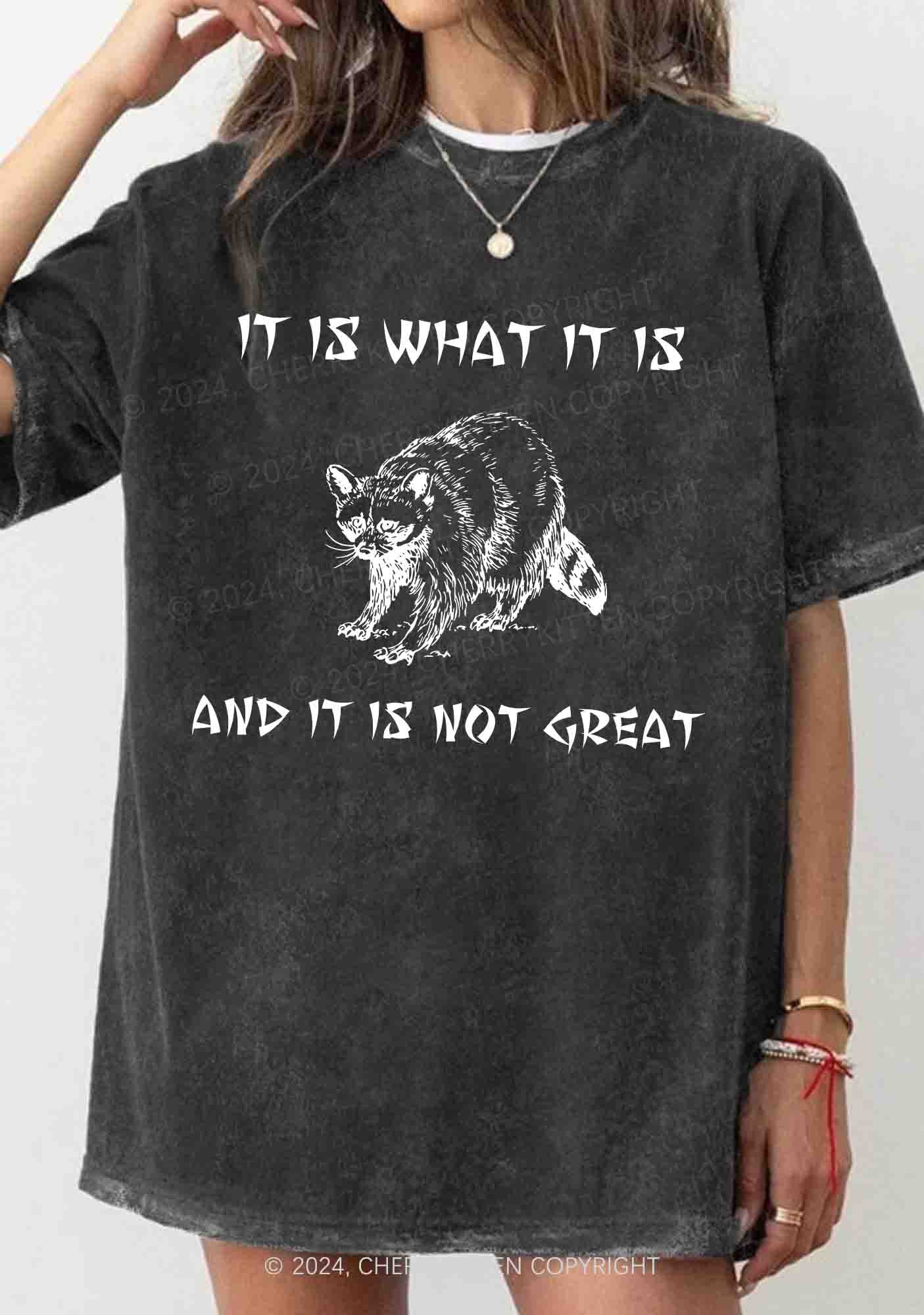 It Is What It Is And It Is Not Great Y2K Washed Tee Cherrykitten