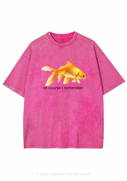 I Remember Goldfish Y2K Washed Tee Cherrykitten