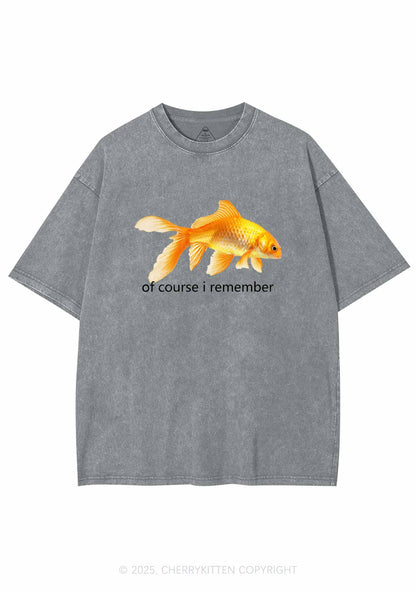 I Remember Goldfish Y2K Washed Tee Cherrykitten