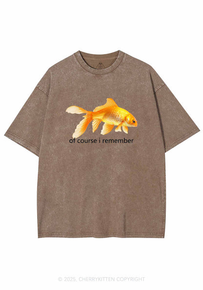 I Remember Goldfish Y2K Washed Tee Cherrykitten