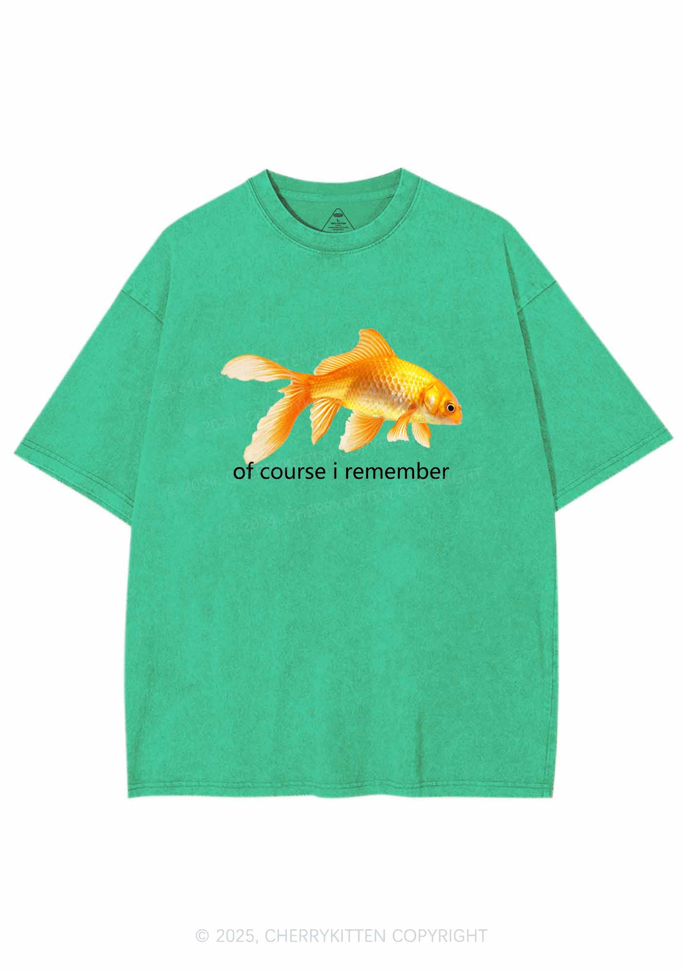 I Remember Goldfish Y2K Washed Tee Cherrykitten