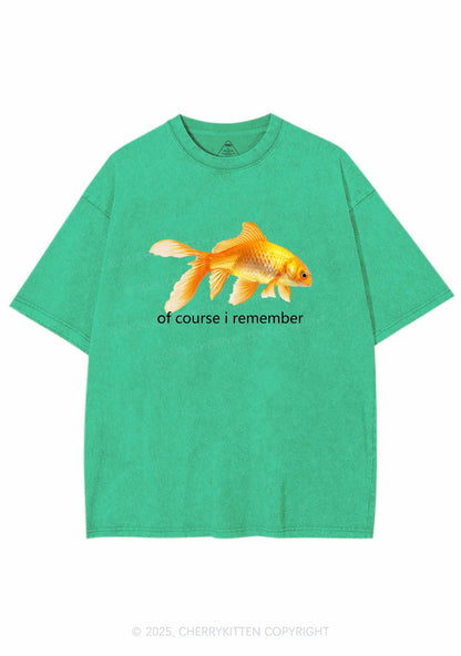 I Remember Goldfish Y2K Washed Tee Cherrykitten