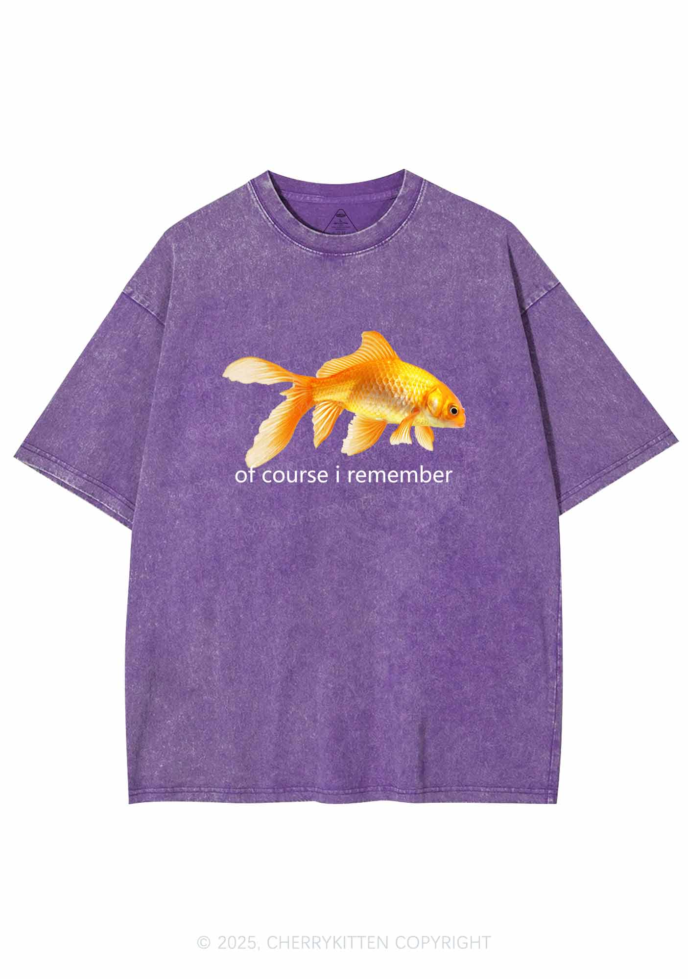 I Remember Goldfish Y2K Washed Tee Cherrykitten