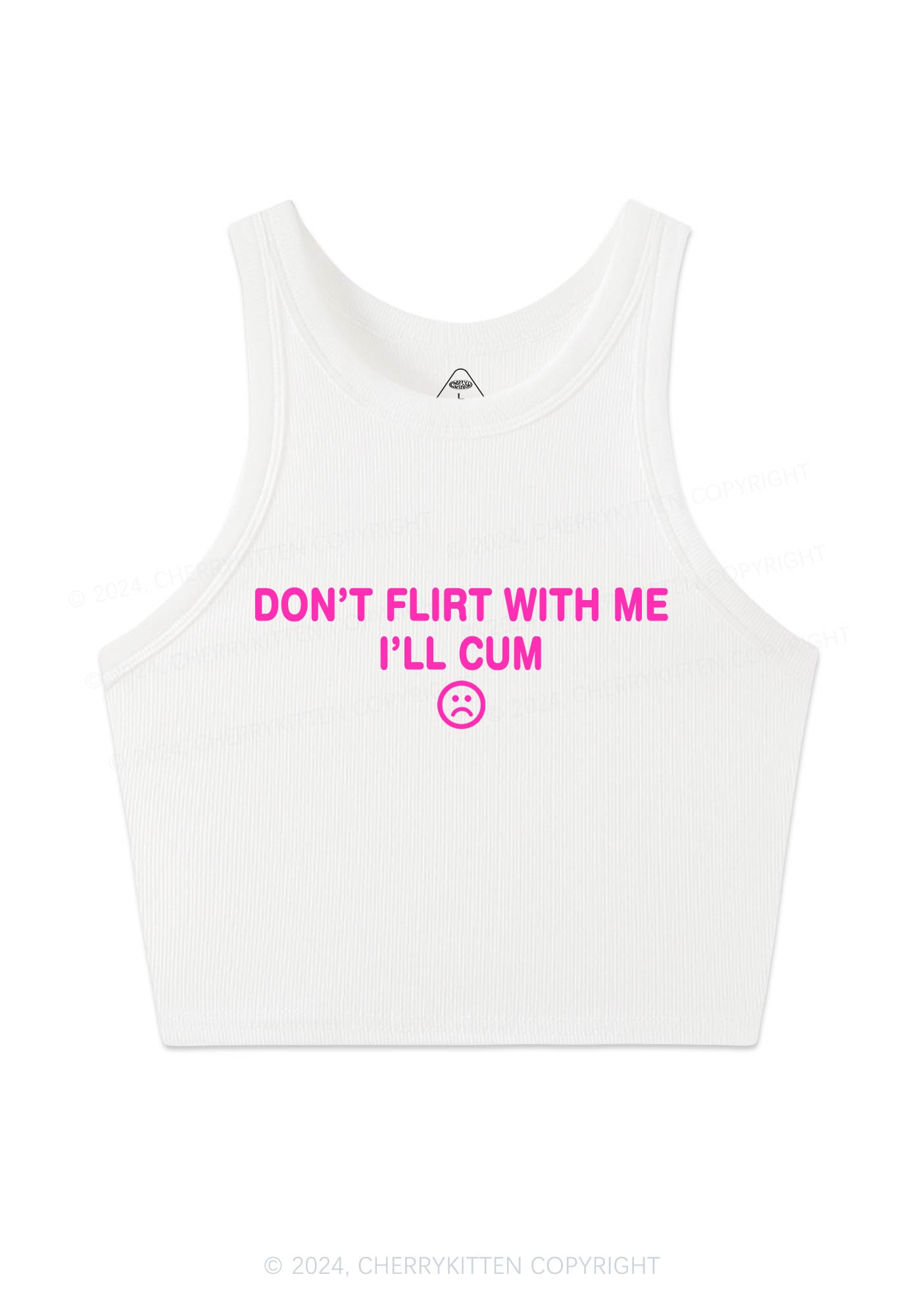 Don't Flirt Y2K Crop Tank Top Cherrykitten