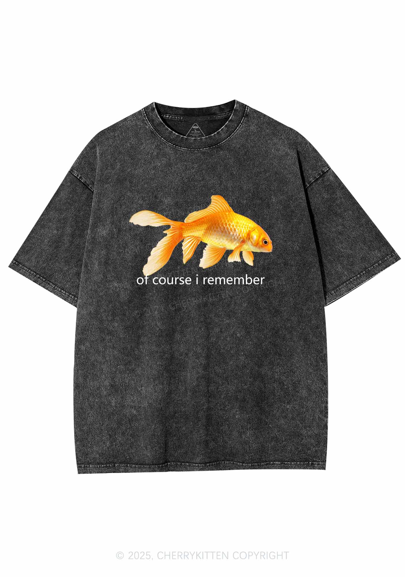 I Remember Goldfish Y2K Washed Tee Cherrykitten