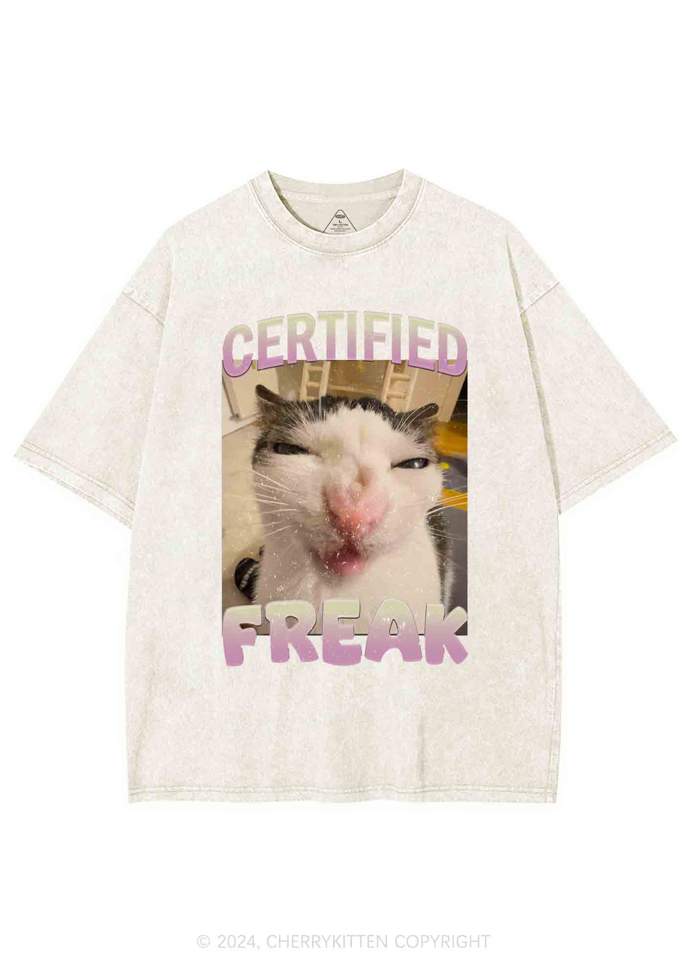 Certified Freak Y2K Washed Tee Cherrykitten