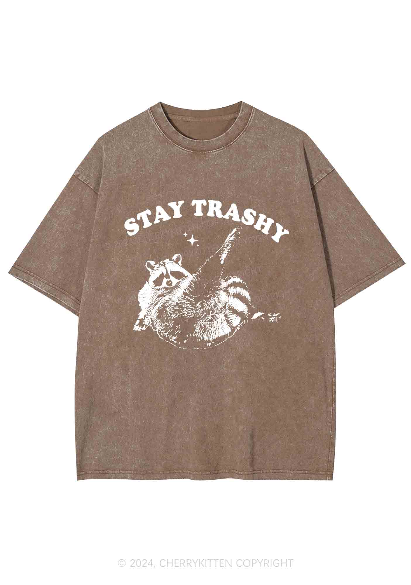 Raccoon Stay Trashy Y2K Washed Tee Cherrykitten