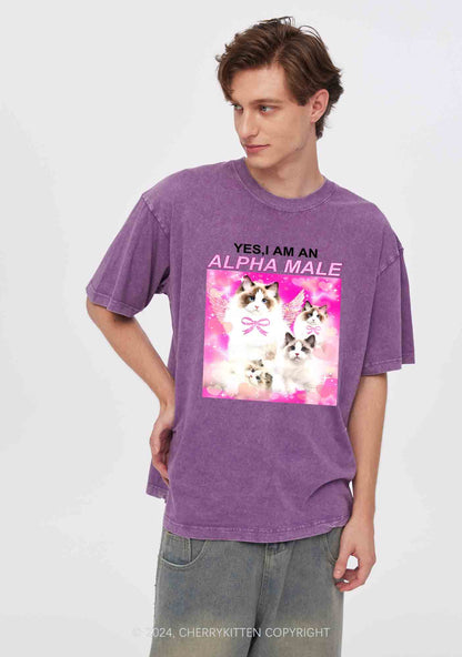 Alpha Male Y2K Washed Tee Cherrykitten