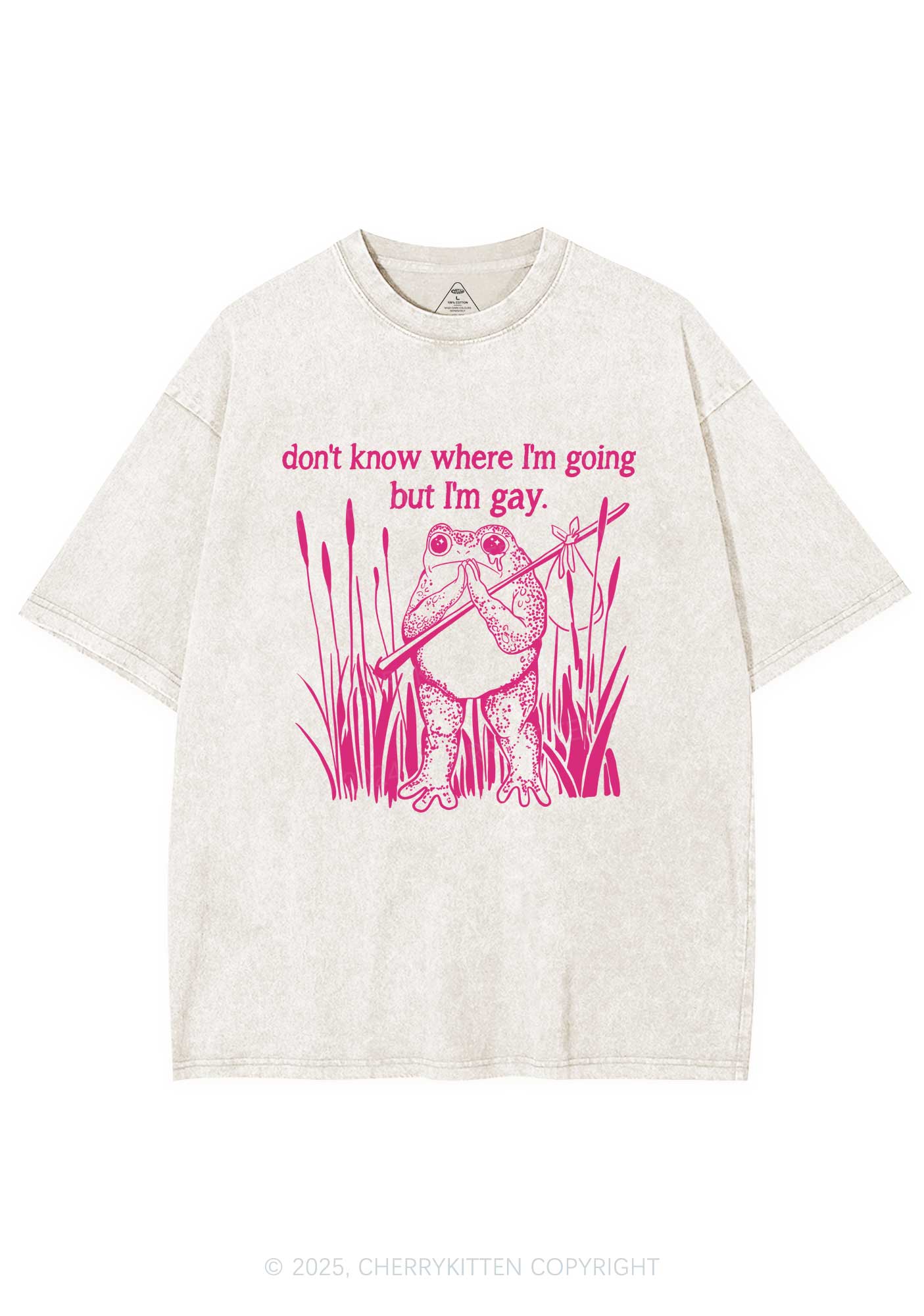 But I Am Gay Y2K Washed Tee Cherrykitten