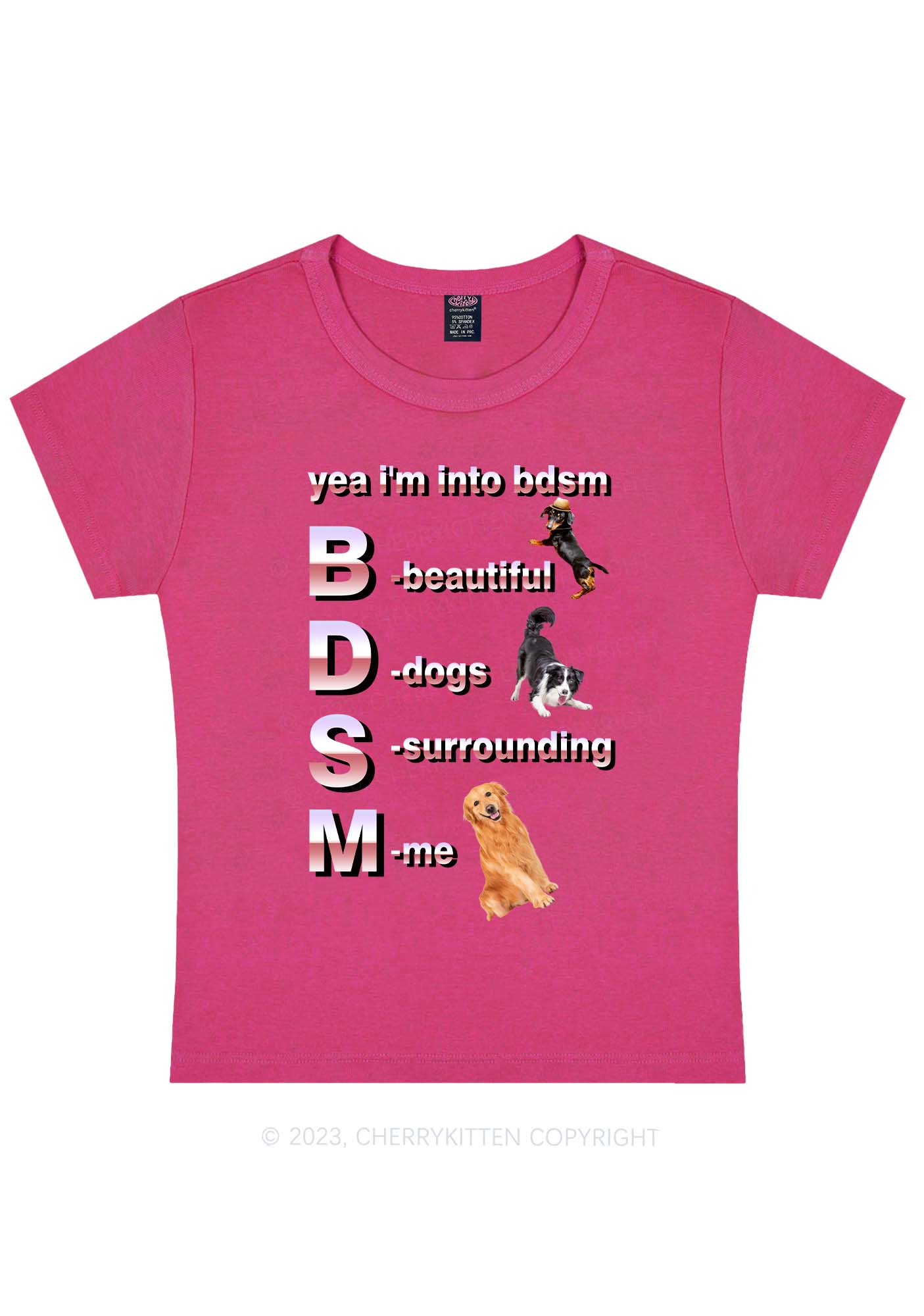 Yea I'm Into BDSM Y2K Baby Tee Cherrykitten