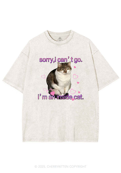 Im An Inside Cat Y2K Washed Tee Cherrykitten