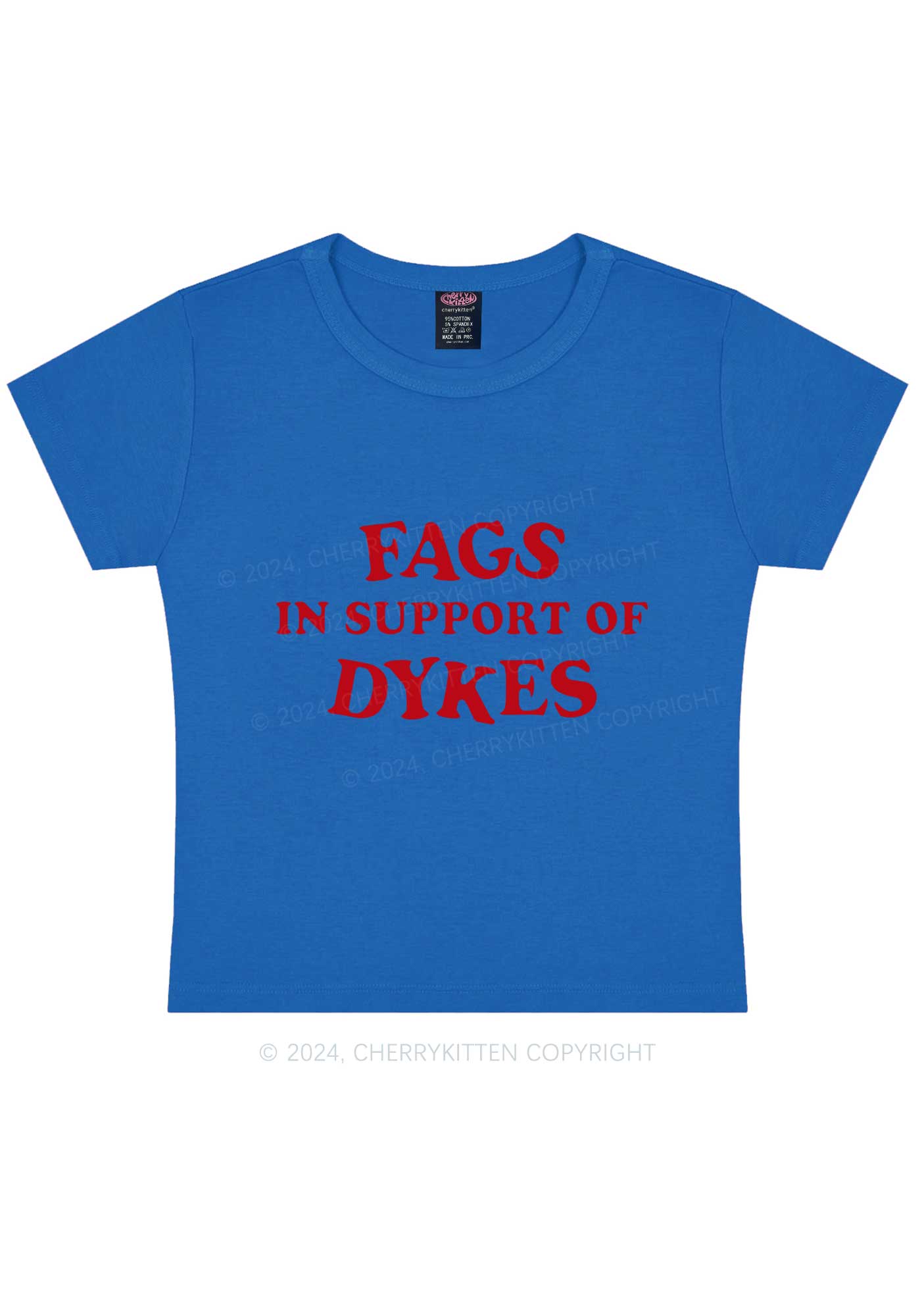 Fags Dykes Y2K Baby Tee Cherrykitten