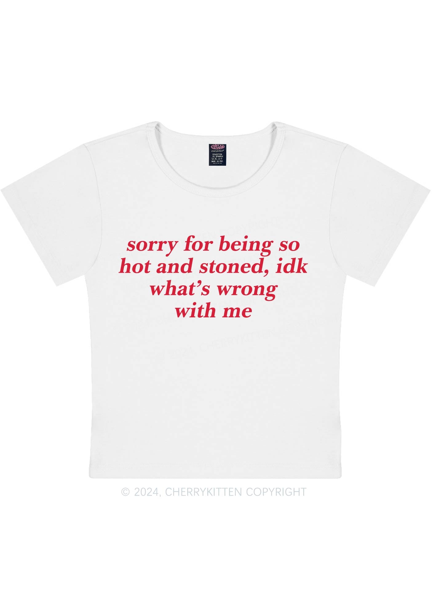 Curvy Sorry For Being Hot And Stoned Y2K Baby Tee Cherrykitten