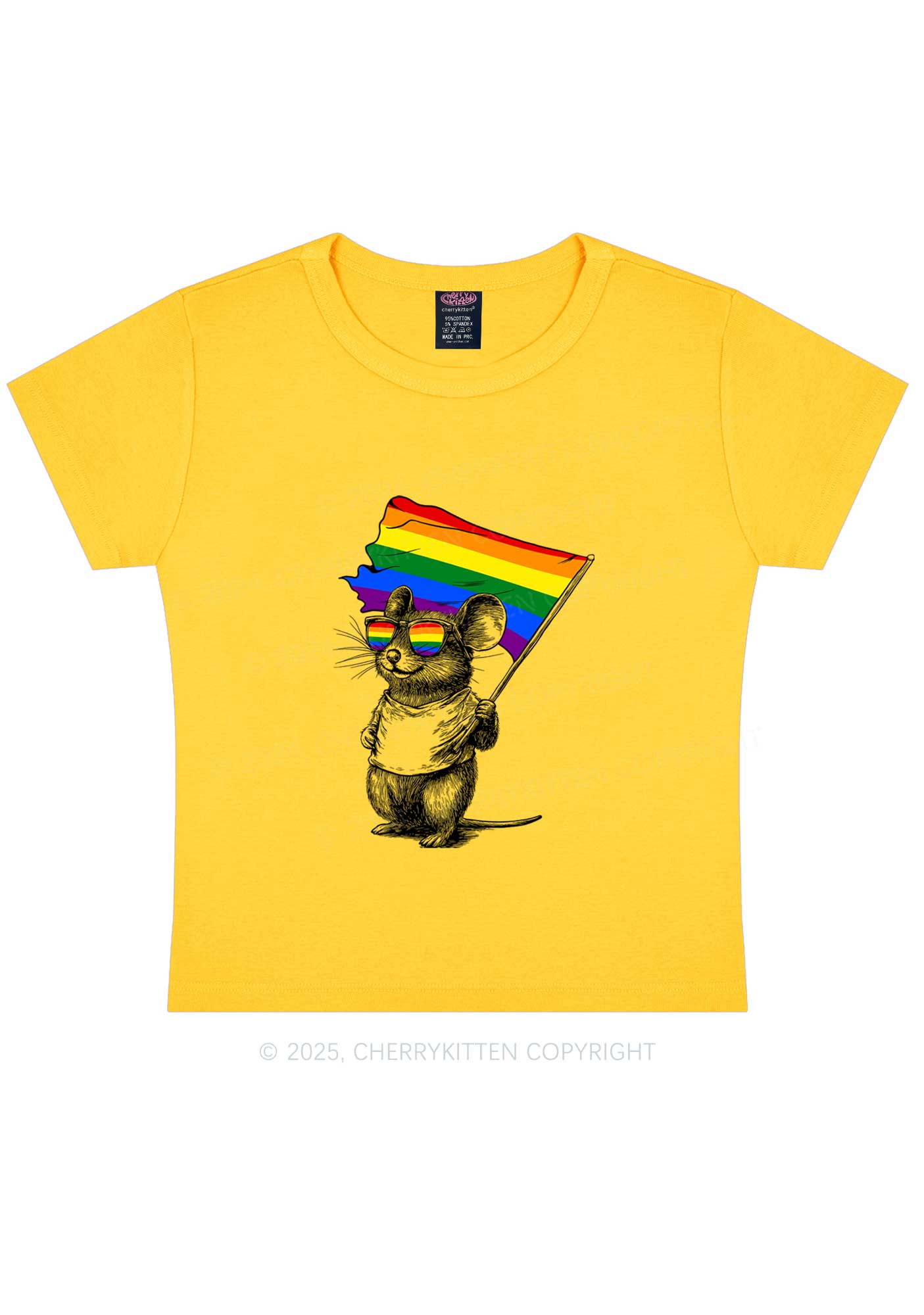 Rainbow Flag Rat Y2K Baby Tee Cherrykitten