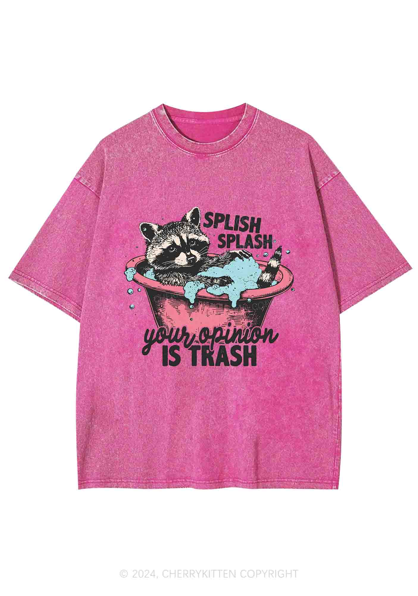 Raccoons Trash Opinion Y2K Washed Tee Cherrykitten