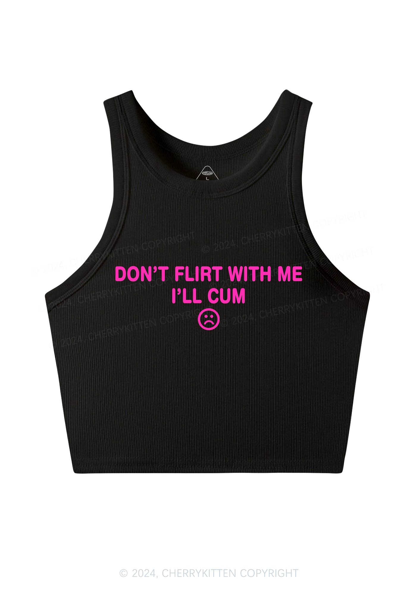 Don't Flirt Y2K Crop Tank Top Cherrykitten