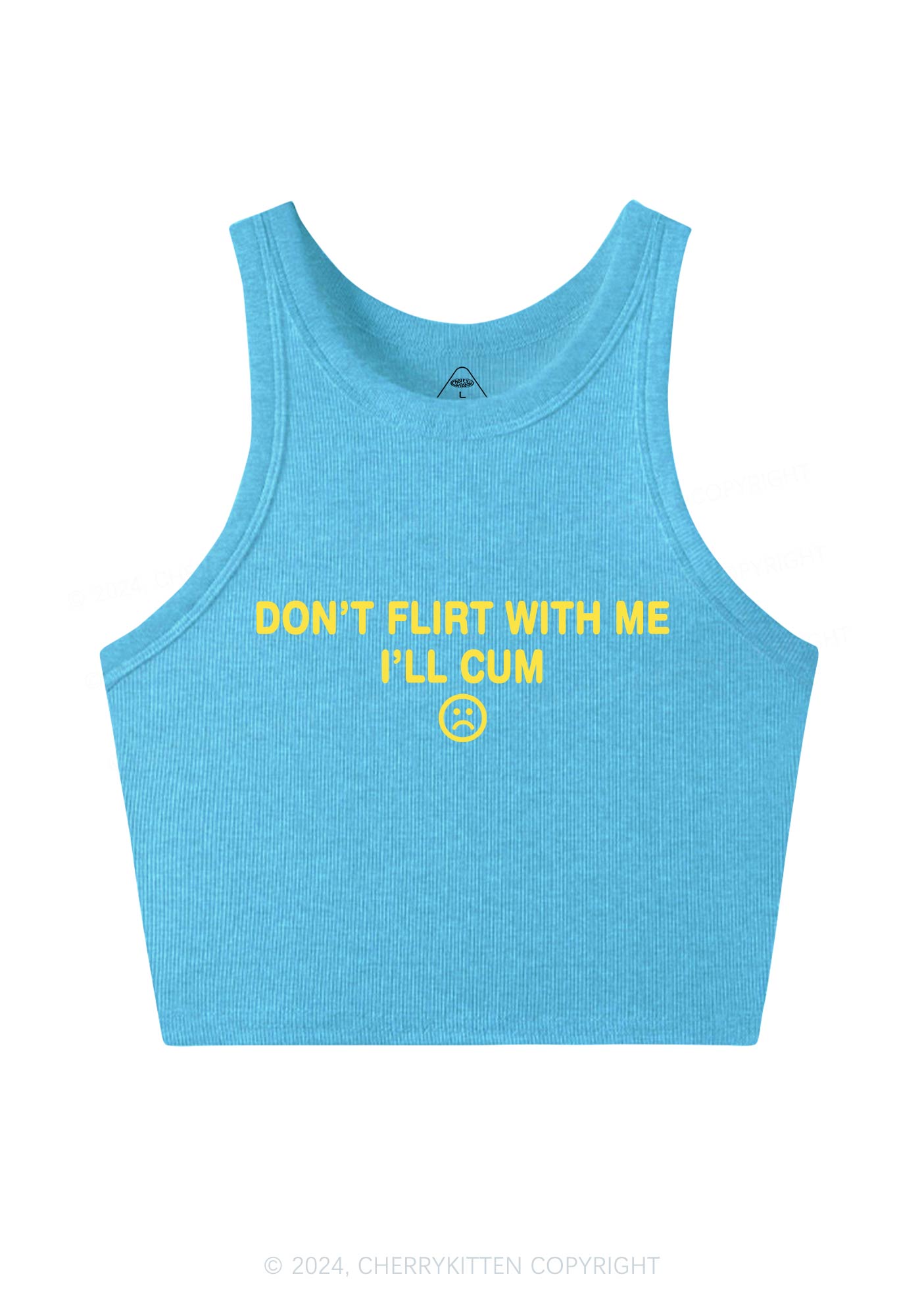 Don't Flirt Y2K Crop Tank Top Cherrykitten