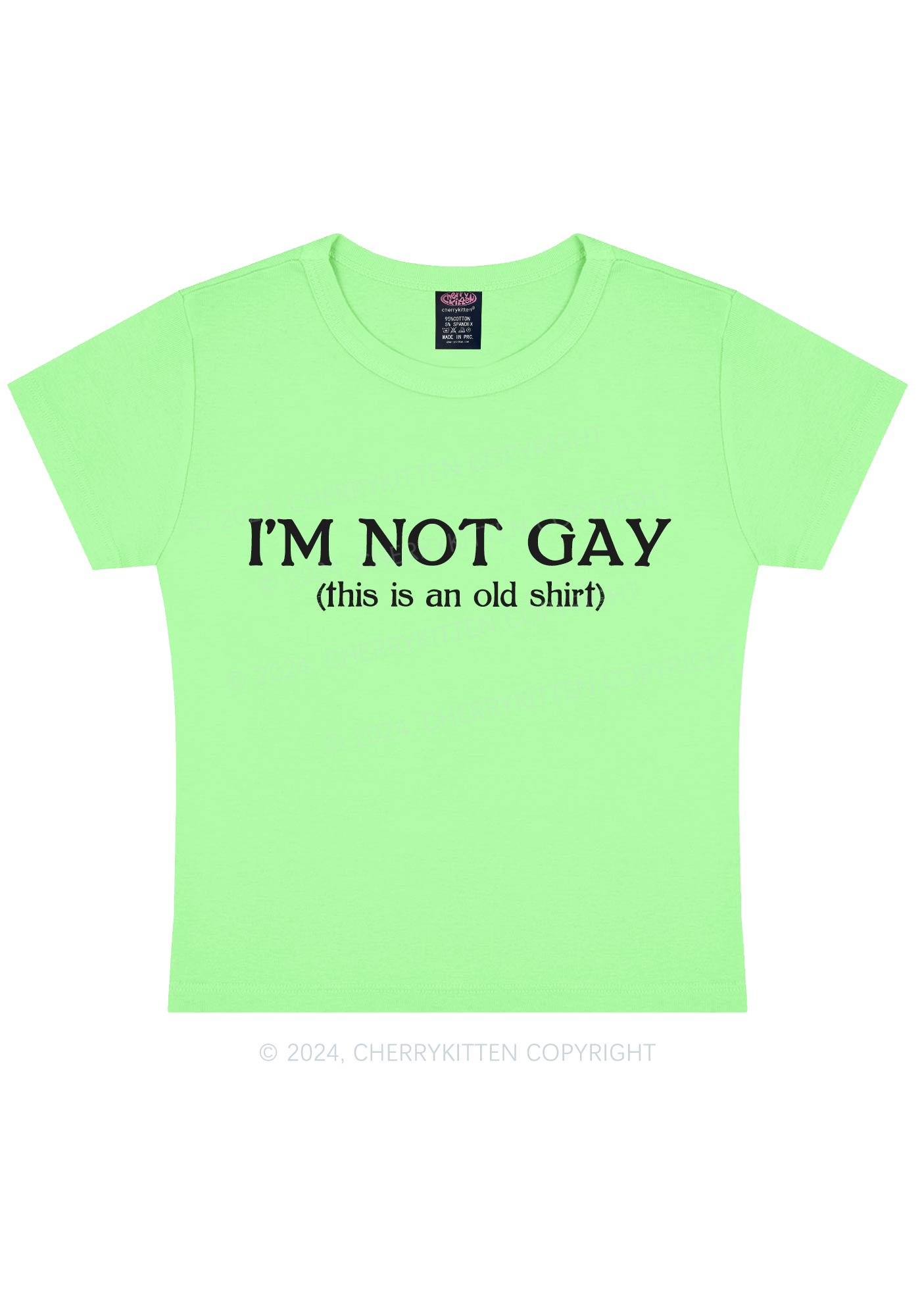 I'm Not Gay Y2K Baby Tee Cherrykitten