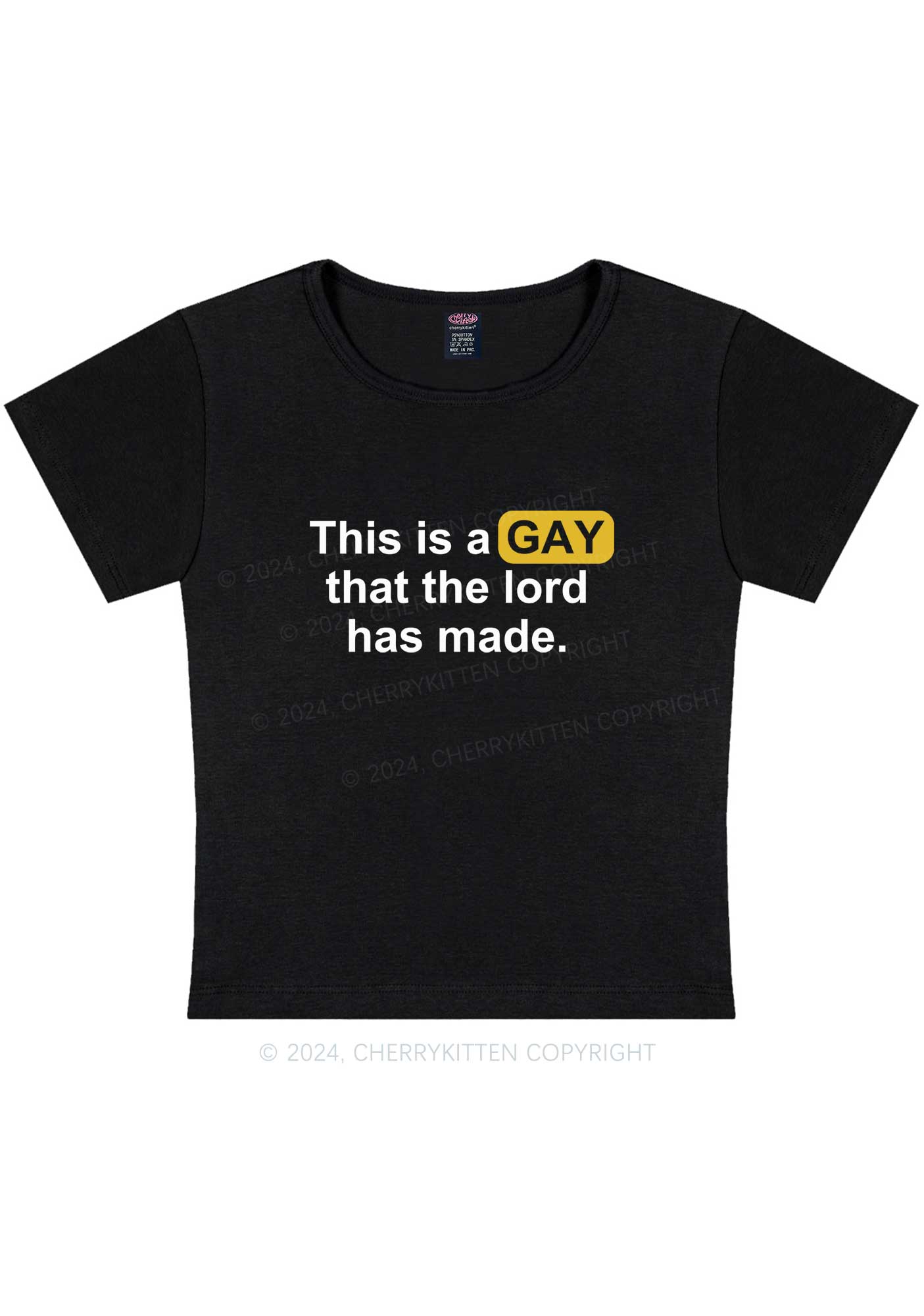 Lord Made Gay Y2K Baby Tee Cherrykitten