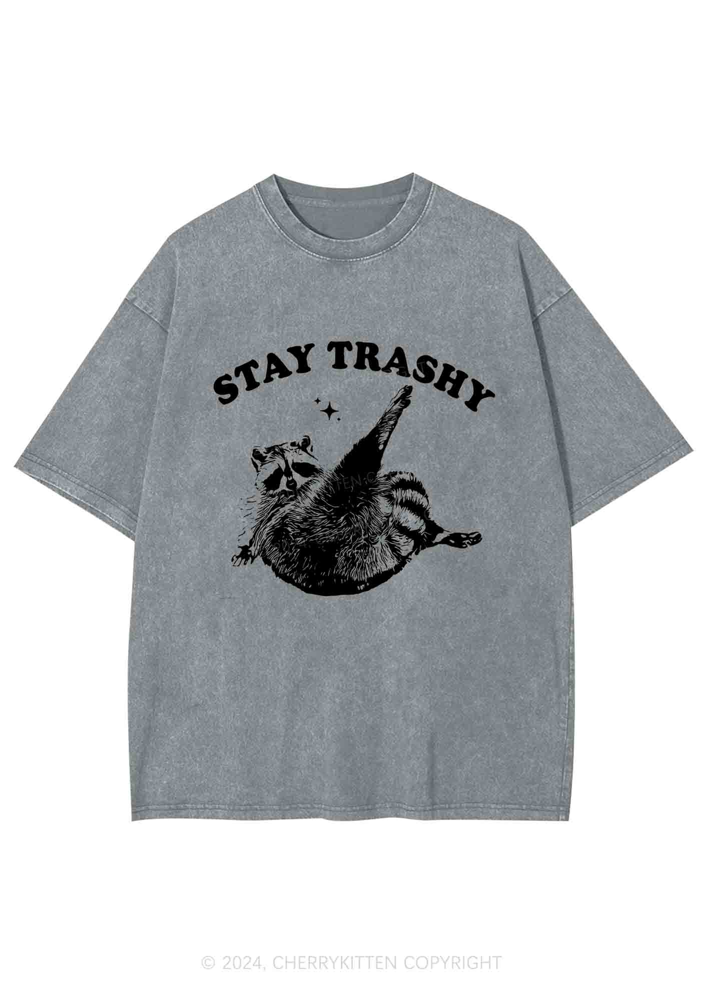 Raccoon Stay Trashy Y2K Washed Tee Cherrykitten