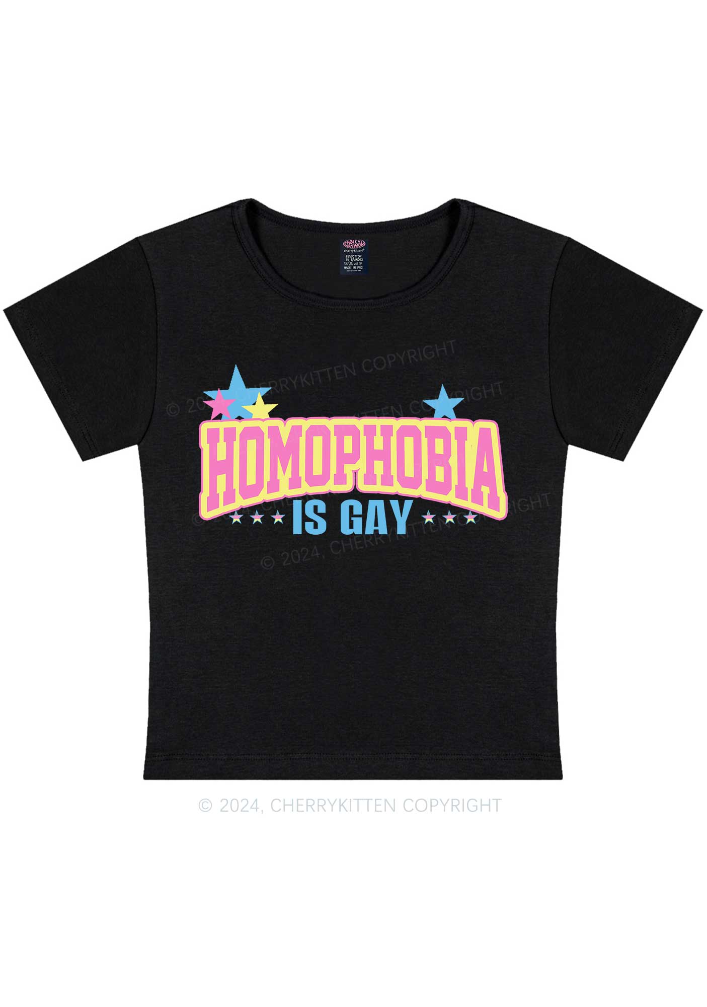 Homophobia Is Gay Y2K Baby Tee Cherrykitten