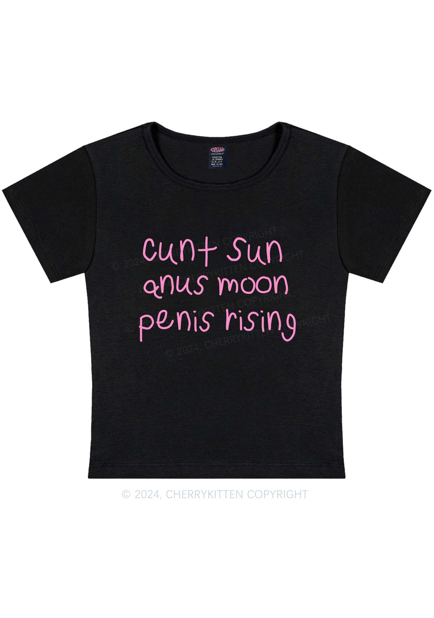 Curvy Count Sun Y2K Baby Tee Cherrykitten