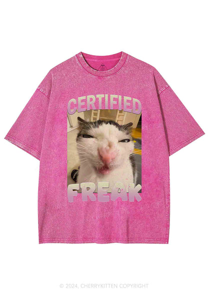 Certified Freak Y2K Washed Tee Cherrykitten